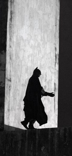 An anti-government demonstrator dressed as comic book superhero Batman walks in the Arcos da Lapa water duct during a protest against police violence in Rio de Janeiro