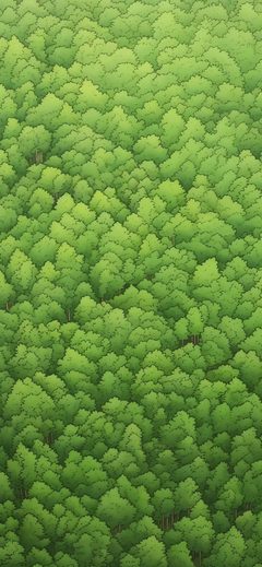 Art Forest Trees Canopy Green Aerial Lush
