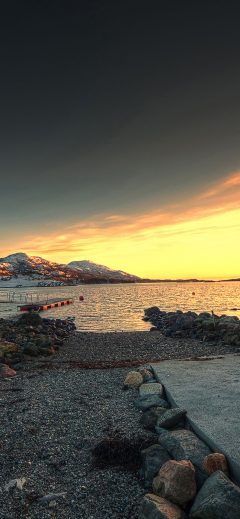 -Havørn i påskesol
