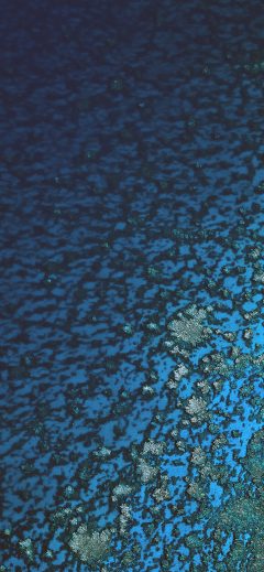 papers