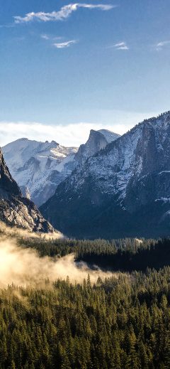 Good Morning Yosemite