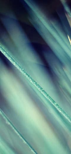 papers