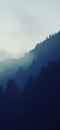 papers