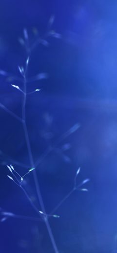 papers