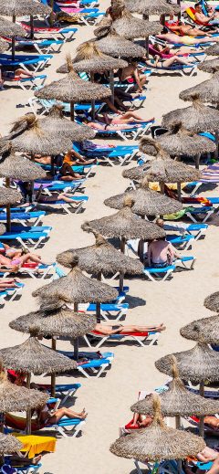 501566867DR049_Tourists_Flo