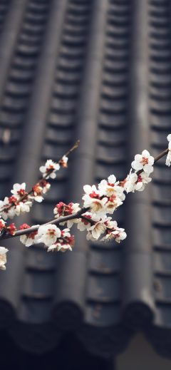 papers