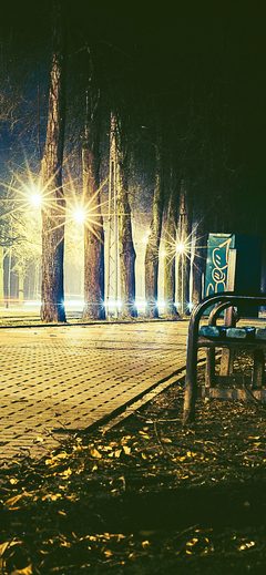 Street Night Bench Nature Dark Green