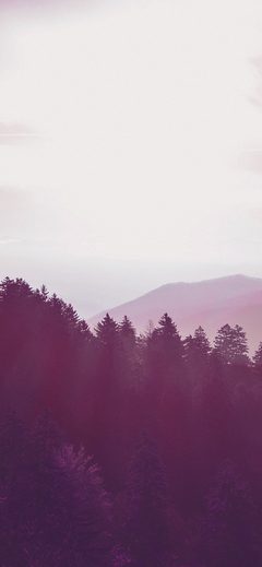 Sunny Day Mountain Red Nature