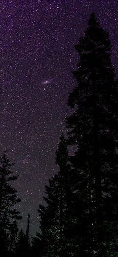 Space Sky Night Star Nature Purple