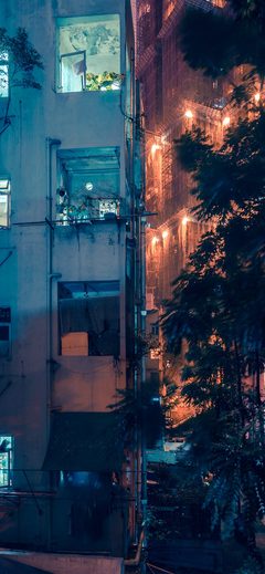 City Night Architecture Nature Light