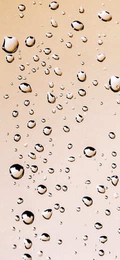 Rain Drop Water Nature Orange