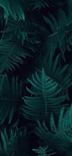 Green Leaf Dark Nature Blue