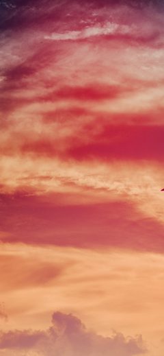 Nature Sunny Sky Cloud Red Purple