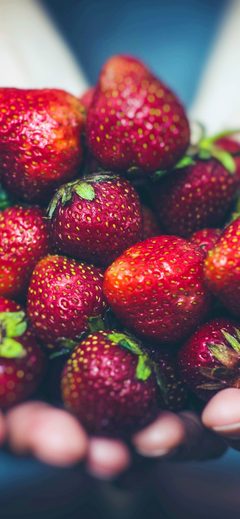 Nature Strawberry Flower Hand Spring Fruit