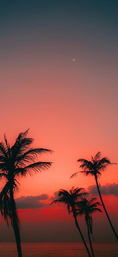Nature Llxvisuals Unsplash Sea Sky Sunset Red