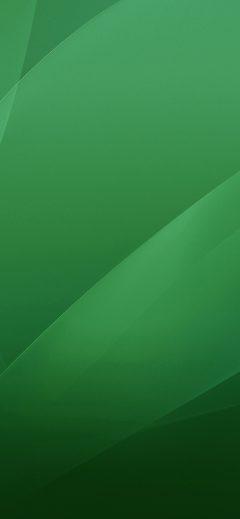 papers
