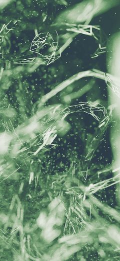 Snow Dark Dot Line Pattern Background Green